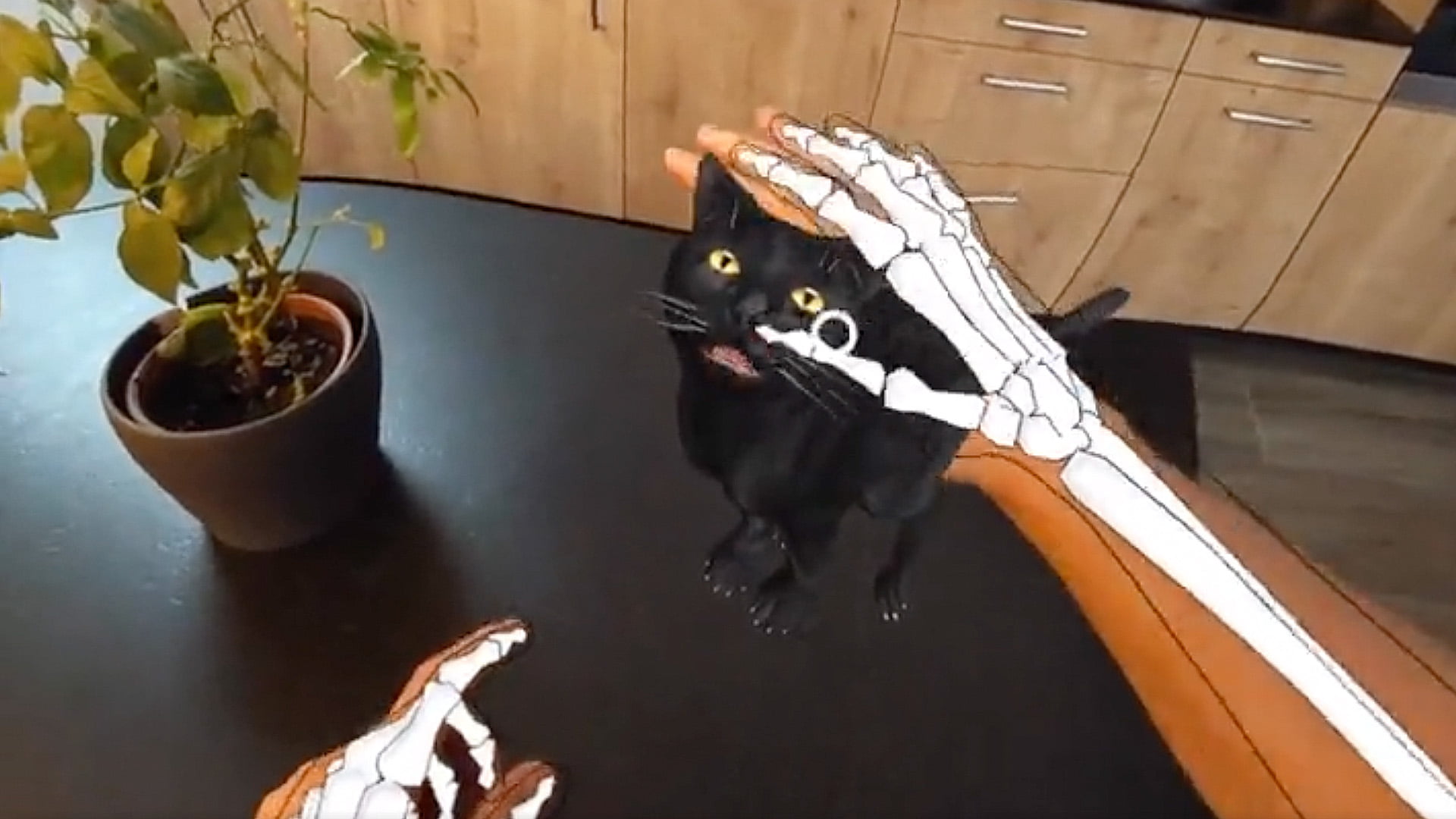 C'est aussi proche que possible de caresser un chat sur Meta Quest 3
