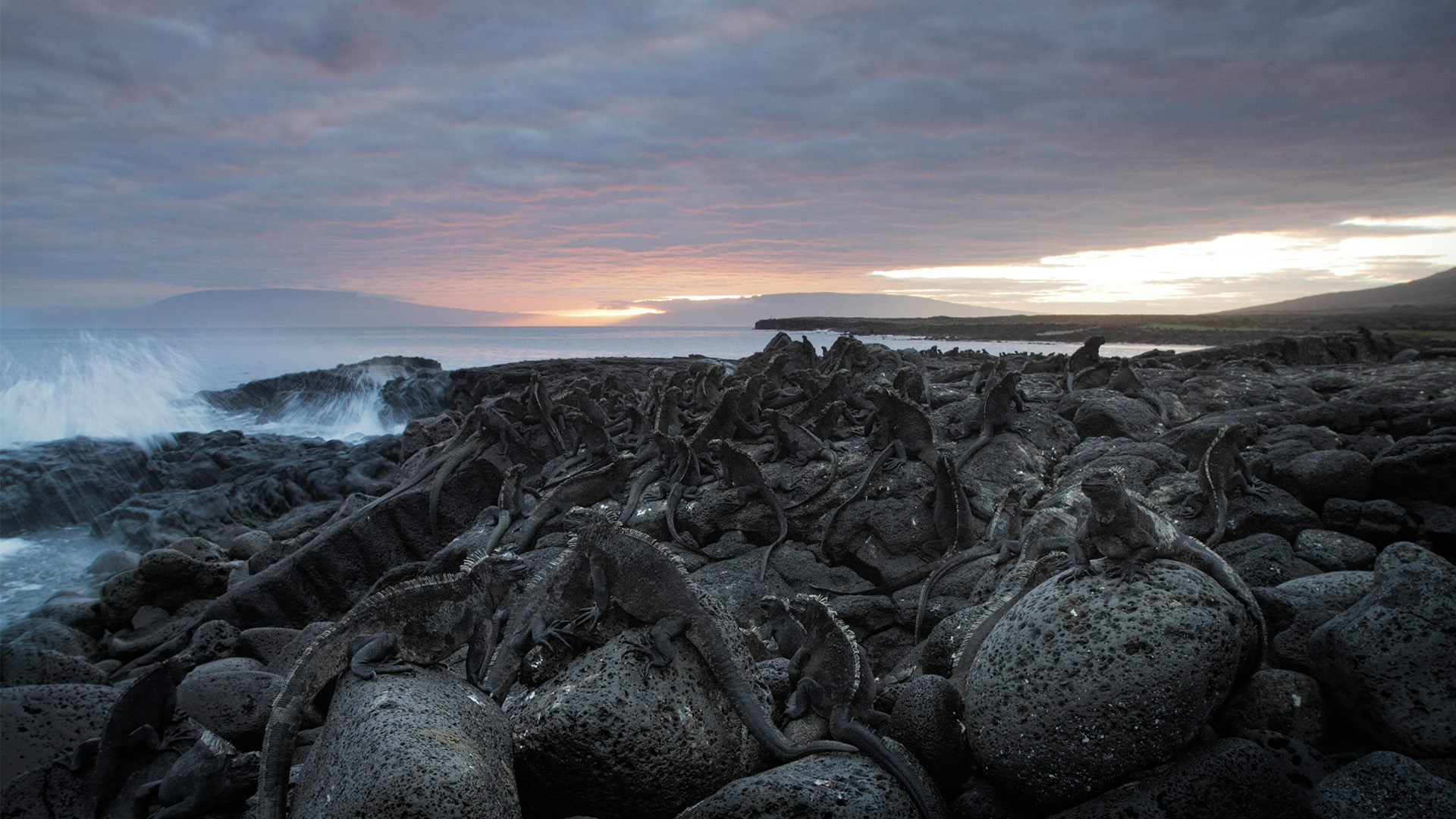 Galapagos VR est un nouveau documentaire 8K 3D avec David Attenborough