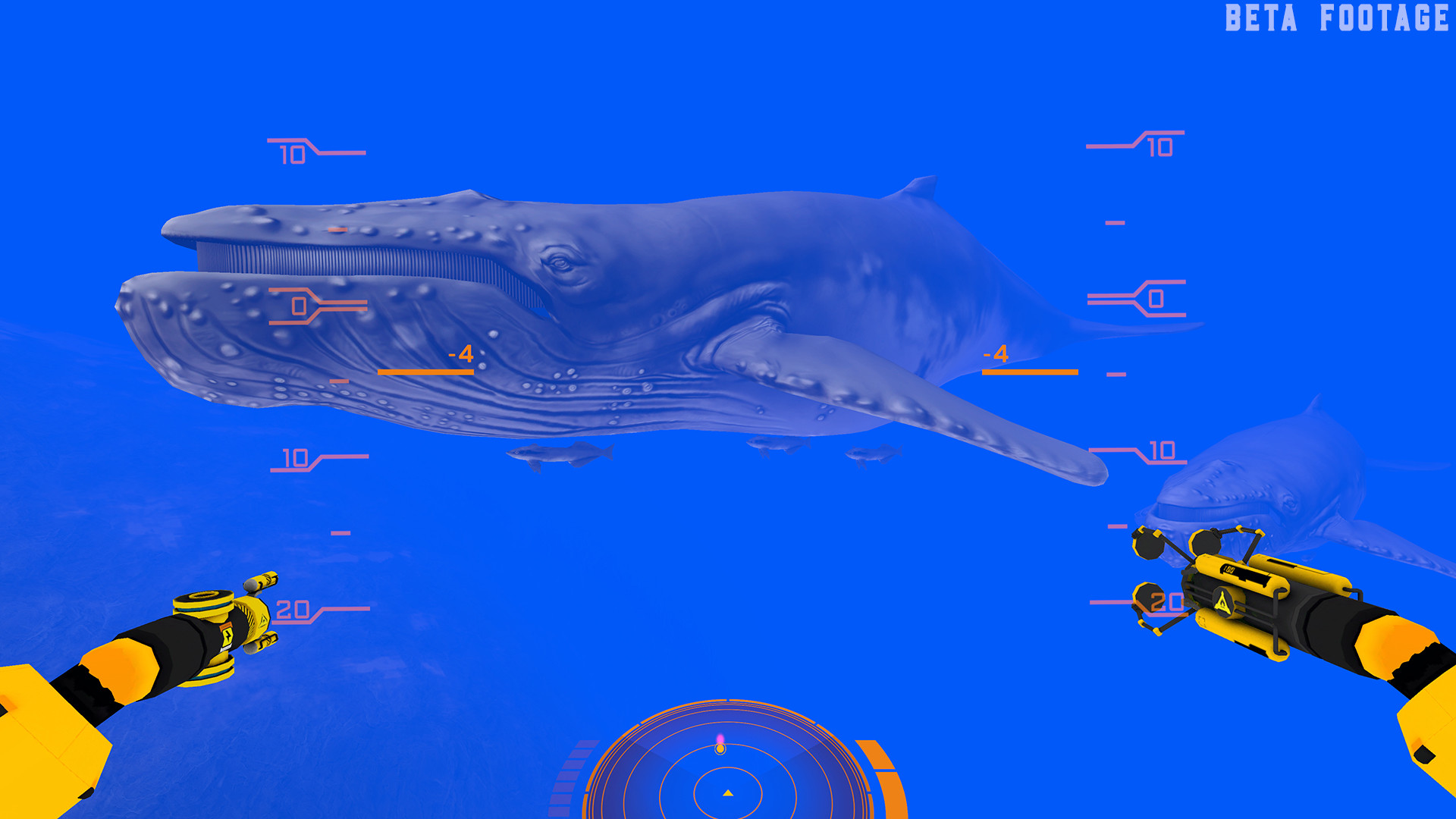 Plongez dans un voyage sous-marin VR à couper le souffle avec des baleines, des requins et bien plus encore