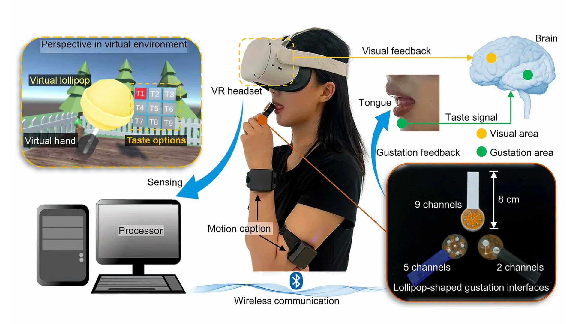 Des chercheurs créent un appareil en forme de sucette pour simuler le goût en VR