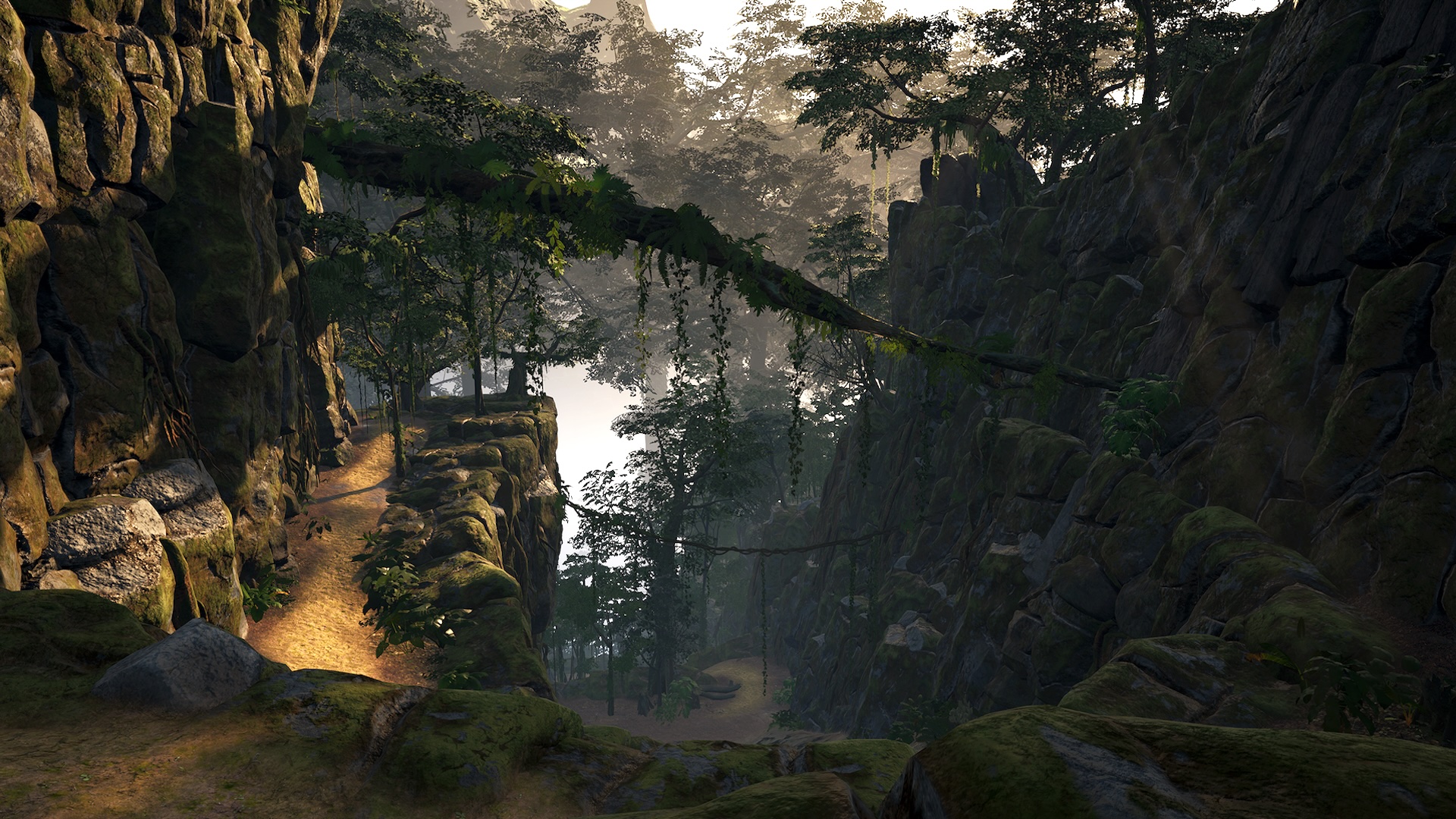 Bootstrap Island du jeu PC VR survival révèle la feuille de route à la sortie complète