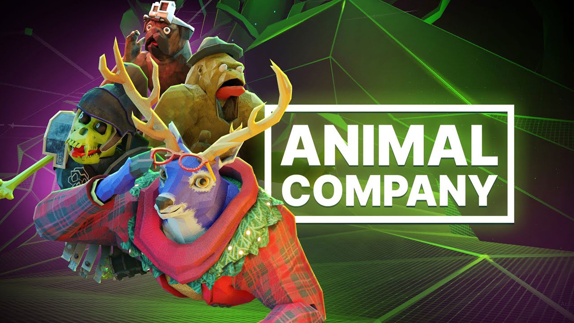 Viral a frappé `` Animal Company '' Rockets au top 5 dans la quête des résultats de la première année