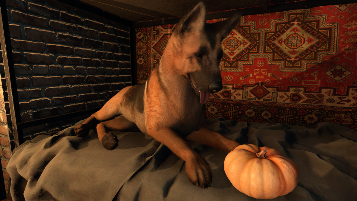 CONVRGENCE ajoute une peau de chien éclatante à sa chasse aux citrouilles d'Halloween