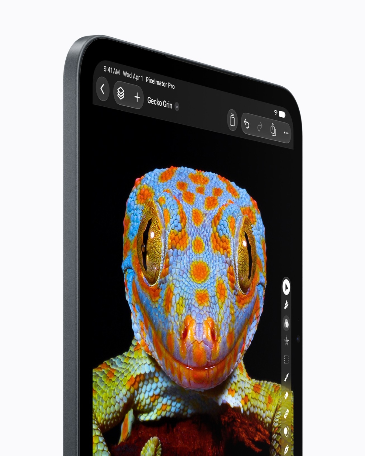 Gros plan du nouvel iPad mini montrant une image de gecko dans Pixelmator Pro